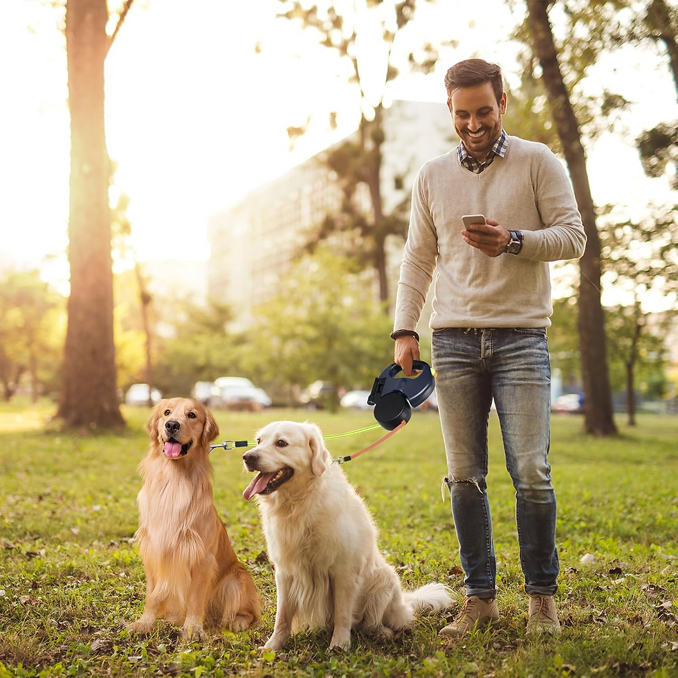 Miniatura: Dual Pet Leash Retractable Reflective Lead 360 Swivel Double Dog Walking Leash