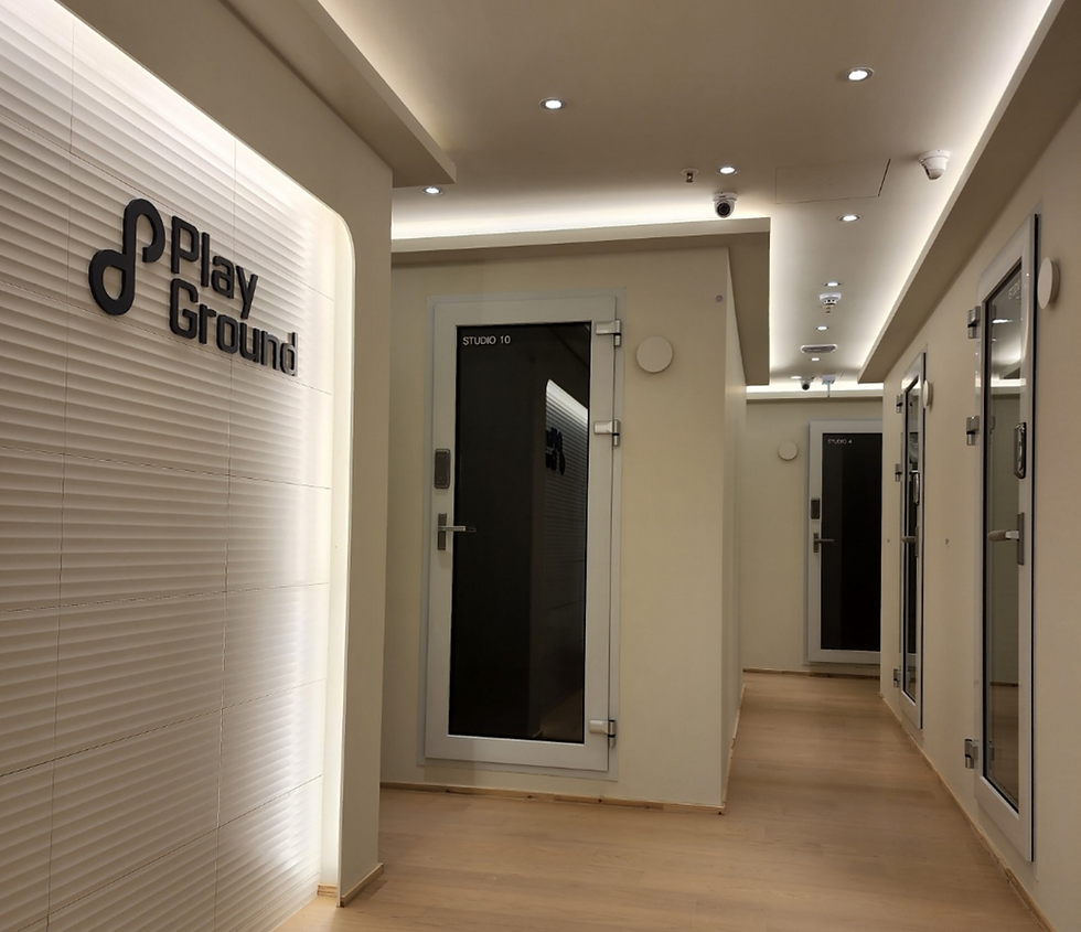 soundproof door (43)