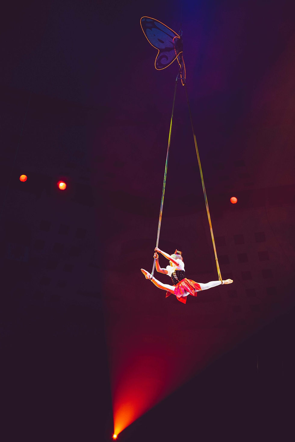Trapeze artist suspended from a butterfly motif in the ceiling