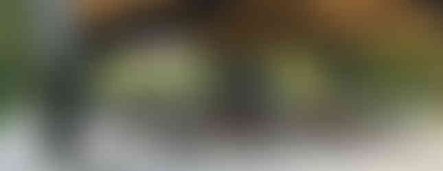 Fabian Lakeside Pavilion is open for reservations from May 01 – September 30, 2025.