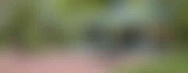 Hidden Grove Pavilion is open for reservations from May 01 – September 30, 2025.