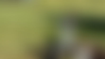 Inaugural Annual Tree Planting for the Sugar House Park Arboretum