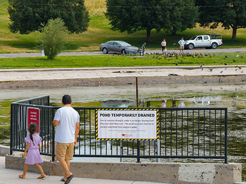 Park Visitors Read Signage About Pond Being Temporarily Drained