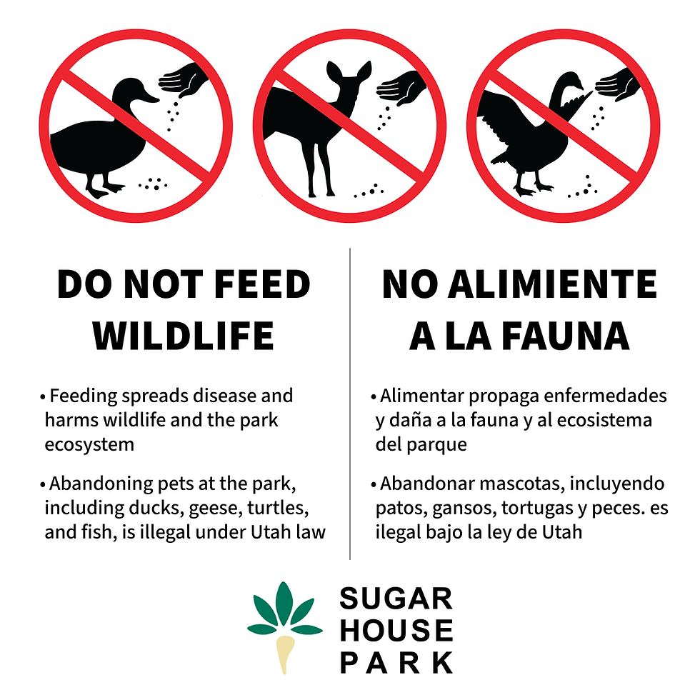 Do not feed wildlife signage for sugar house park