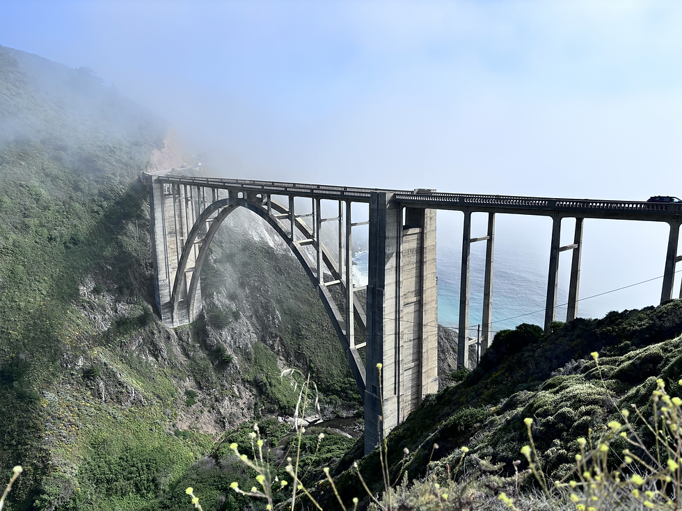 San Francisco, Monterey, Carmel, Big Sur, a 5-day vacation for family with young children