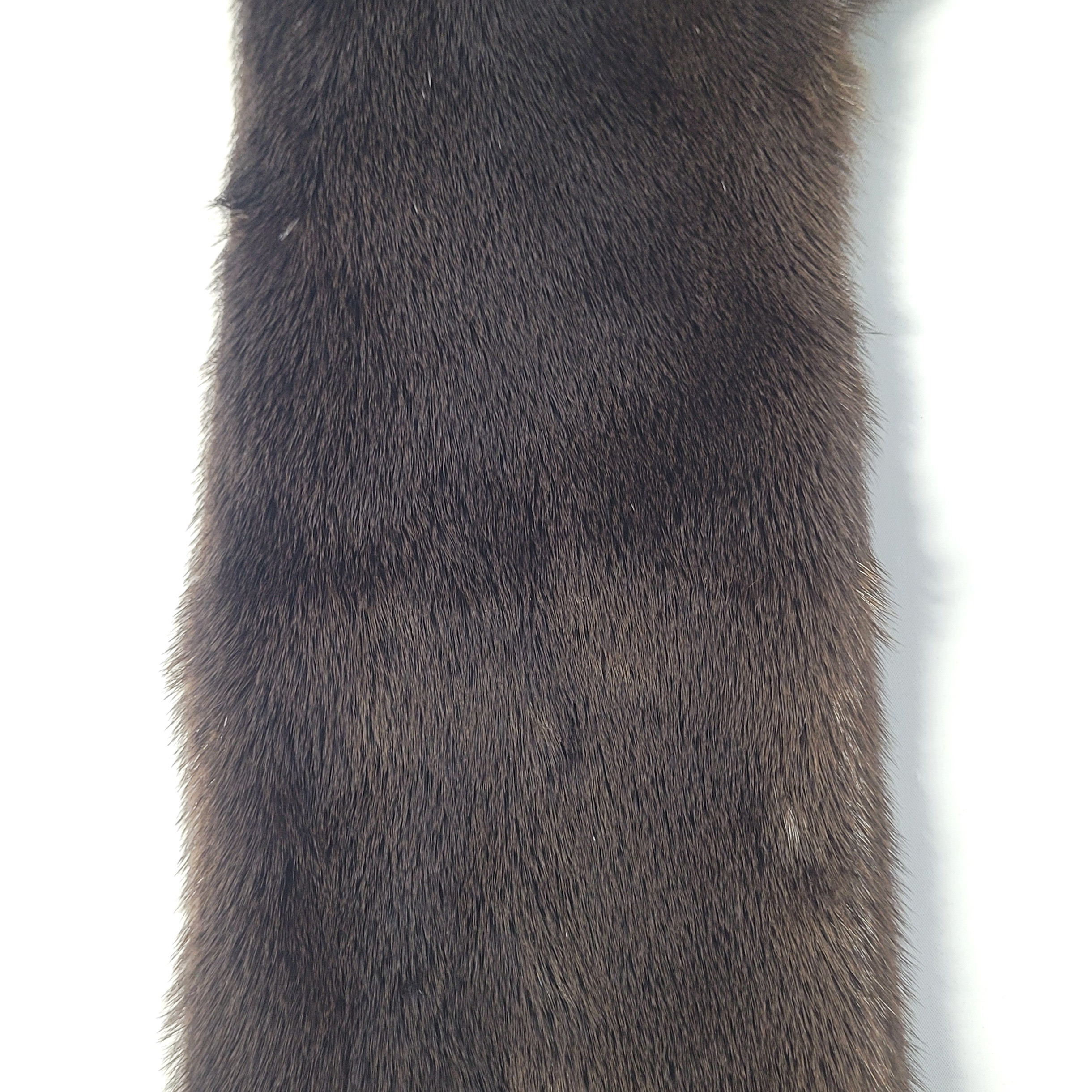 River Otter Pelt – Luxuriously Dense, Sleek, and Professionally Tanned