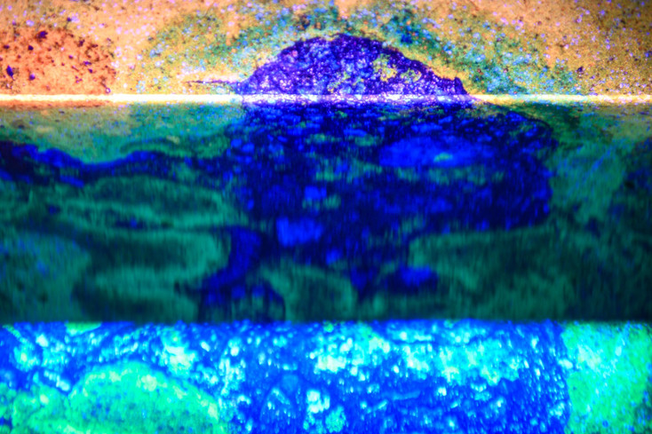 79315935_2789453421094455_8229783102986125312_n.jpeg