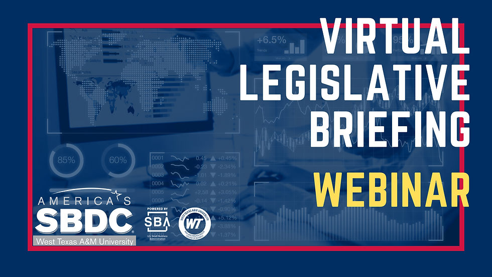Virtual Legislative Briefing: Supporting Small Business