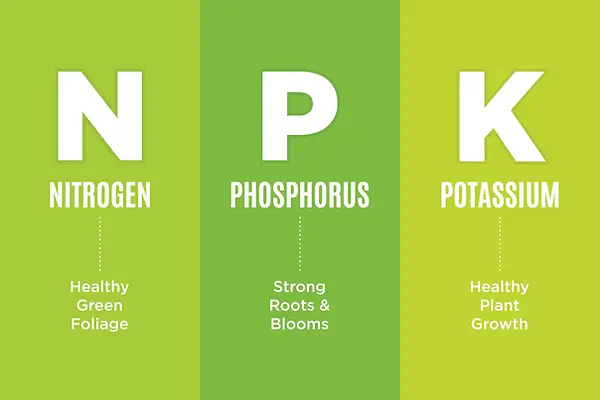 npk-chart-1680274931457.webp
