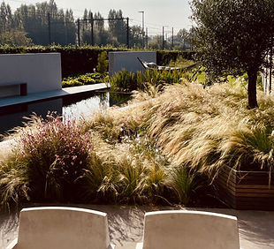 20230903_081754723_iOS 1.jpg