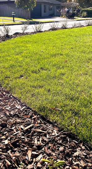 A round lawn with bright green grass and a curved steel edging between the lawn and garden.