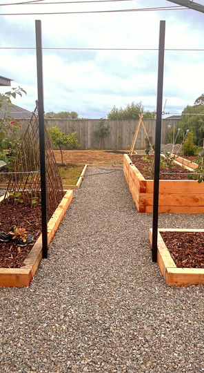 A vegetable garden made up of various raised macrocarpa planters with young plants and filled with mulch. Two plack steel poles with wires attached support some small espaliered trees.