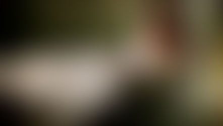 2015 Latin Grammys highlights and winners