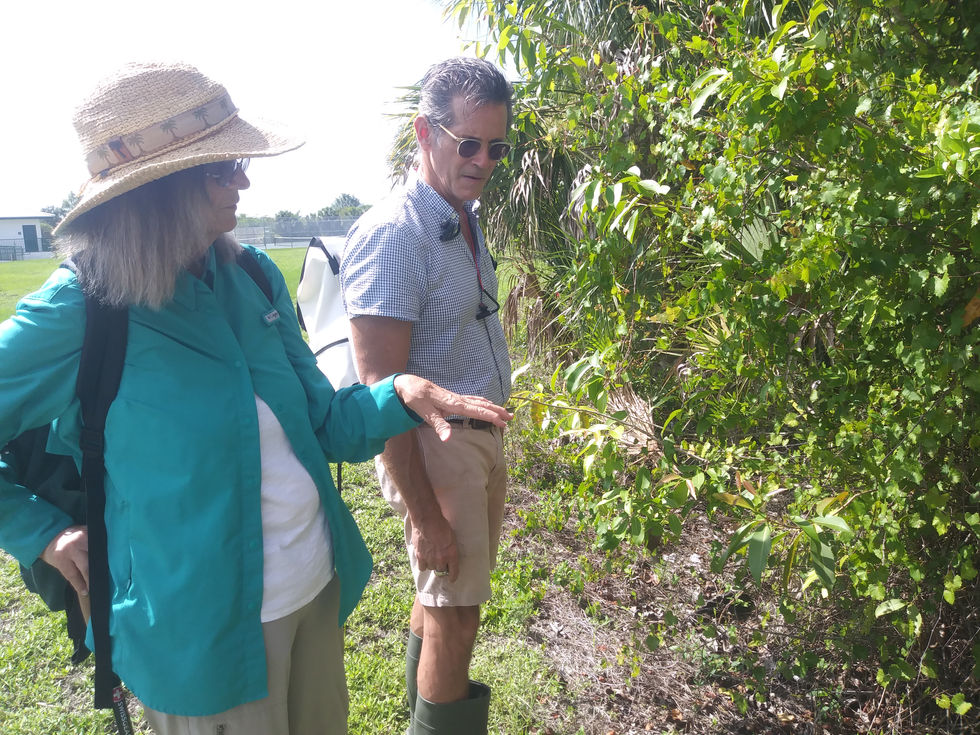 Site visit with a restoration ecologist, botanist, and hoticulturalist