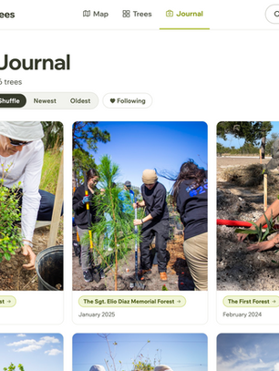 The Museum of Trees: A Living Memorial That Grows