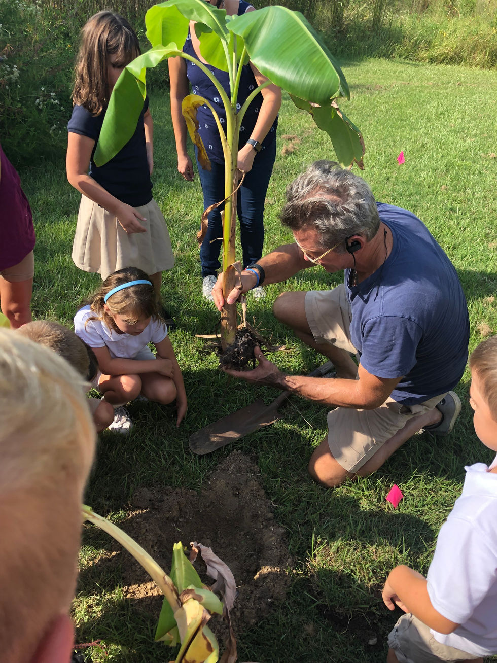 Teaching local school kids about planting banana plants
