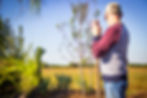 A senior man looks at a native plant garden
