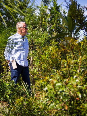 What It Means to Be an Arboretum