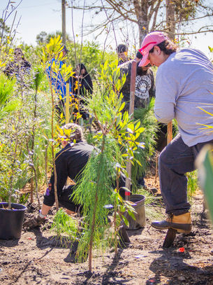 Hope Eternal Gardens Becomes Charlotte County’s First Accredited Arboretum