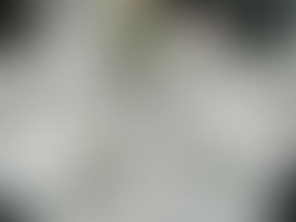 Spring Has Arrived at Curry Estate: Introducing Our New Seasonal Menu