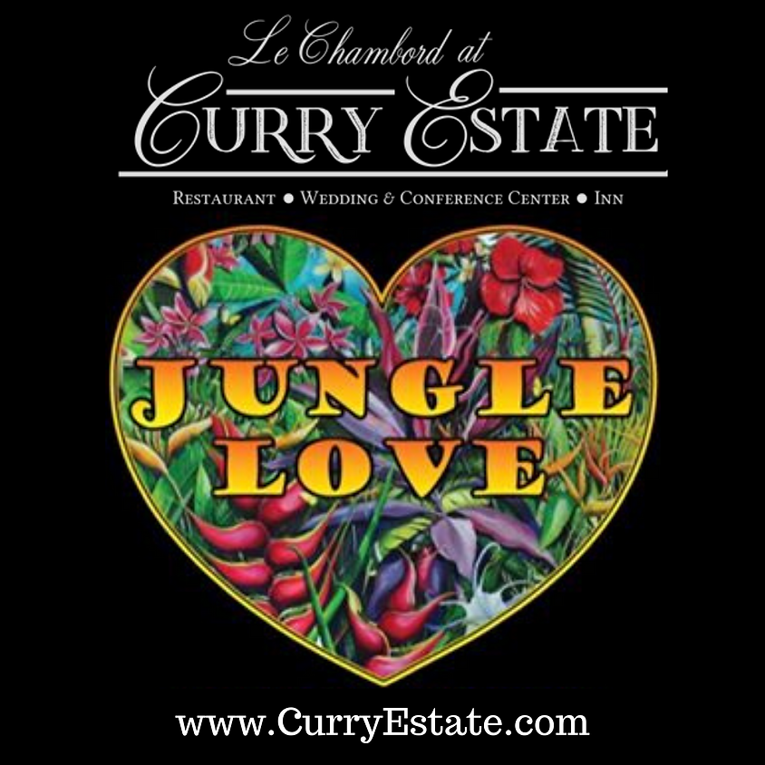 Jungle Love - Live Music