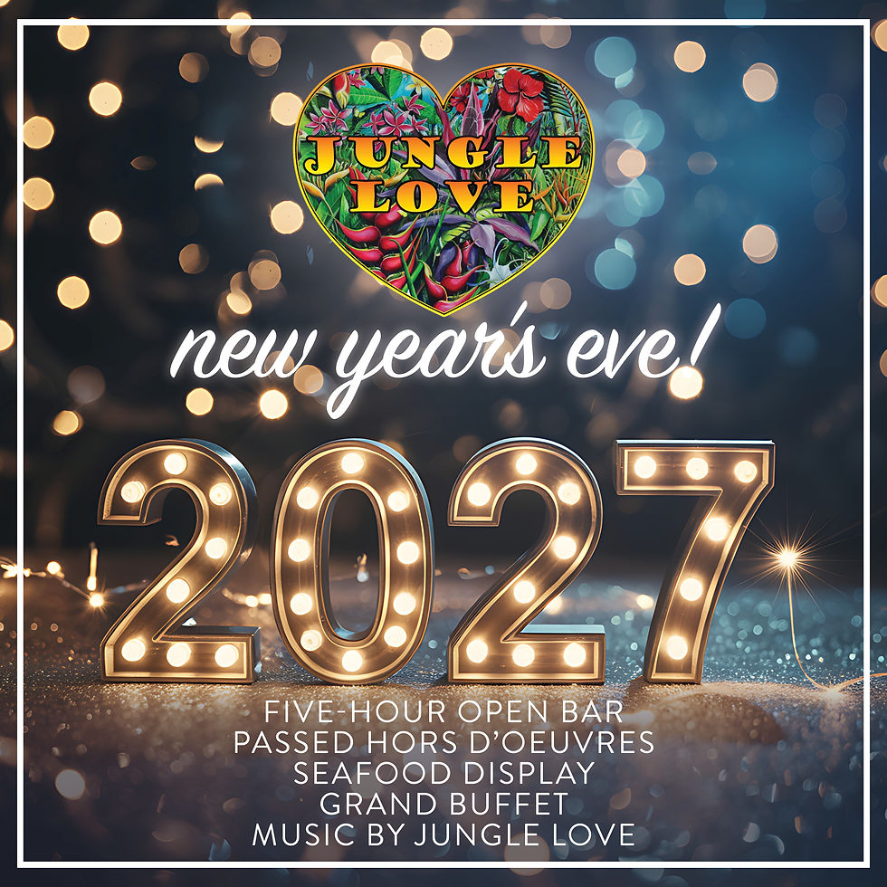 New Year's Eve Party 2027!