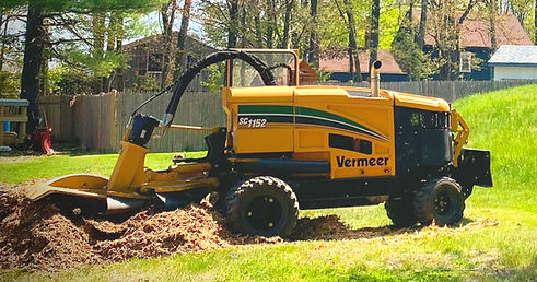 Stump Grinding 5_edited.jpg