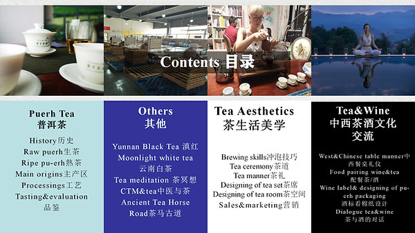 Lesson 1 General Introduction 介绍.jpg