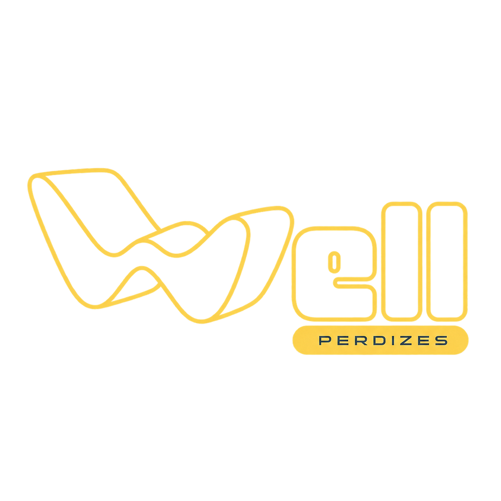 Well - Perdizes