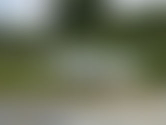 10/4は公園一斉清掃の日