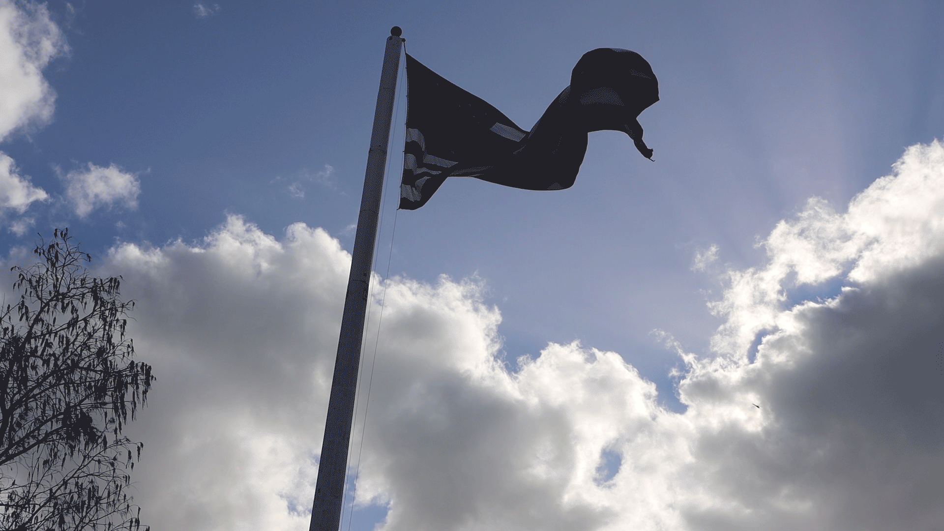 Flag.gif