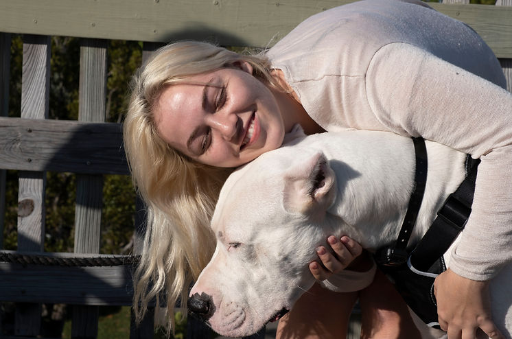 white dog1.jpg