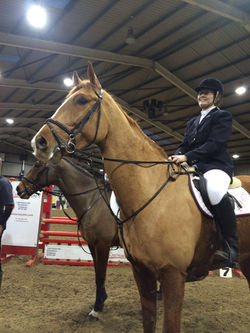 918887b2-4e47-47f3-8caa-13b3a663c7a4