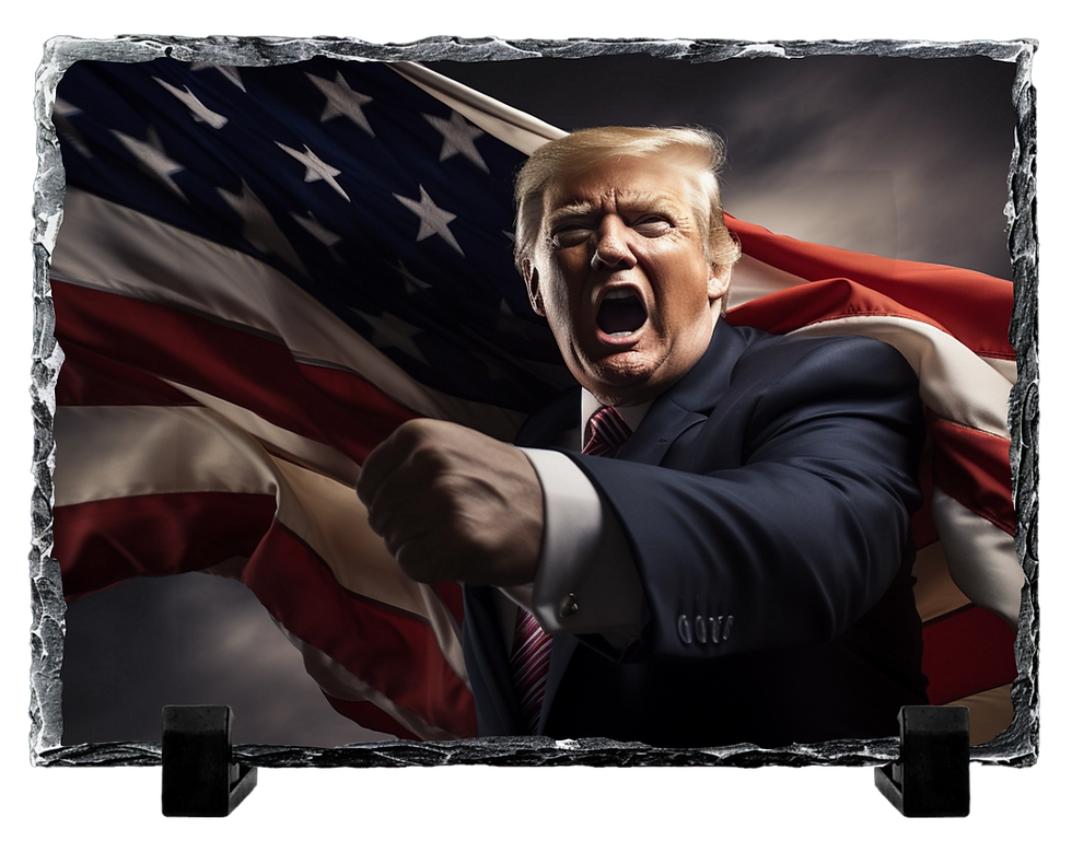 Trump -Fight With Flag Digital Art