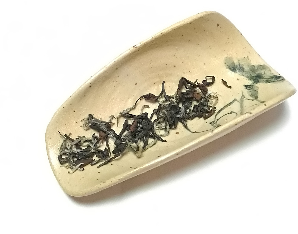 縮圖：Miaoli Oriental Beauty