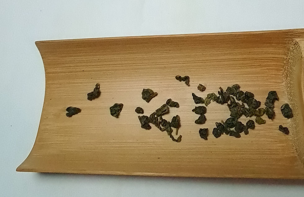 縮圖：Nantou Jin-Xuan Oolong