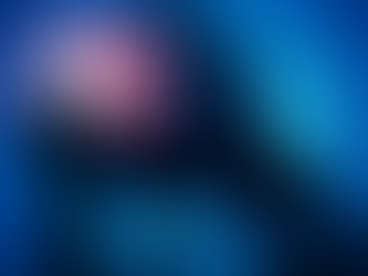 Understanding Concussions: Signs, Symptoms and Proper Precautions