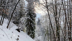 Guidare in montagna: rischi e consigli utili per la sicurezza