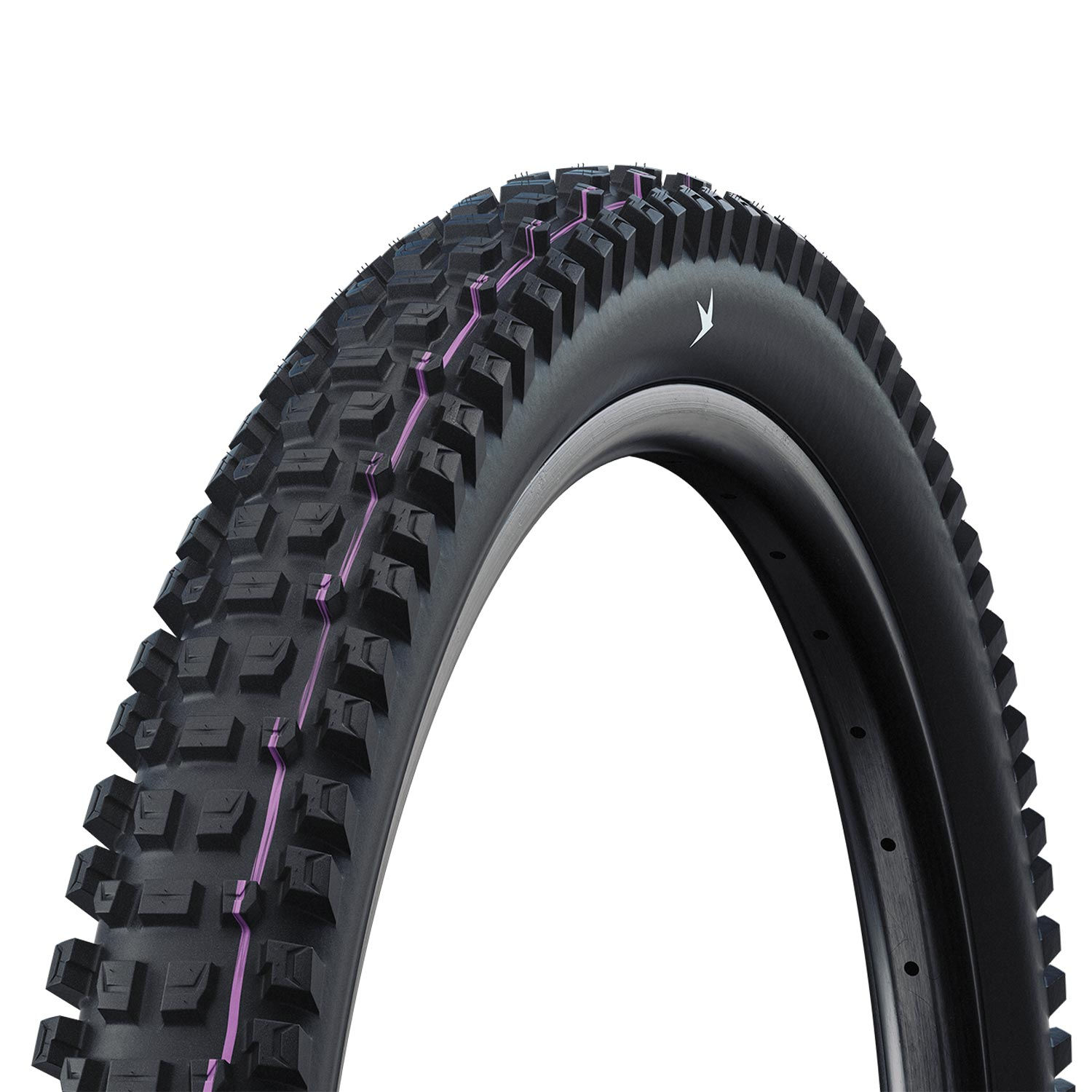Schwalbe Albert Gravity Pro Radial Ultra Soft TLR Folding - Albert Gravity Pro R