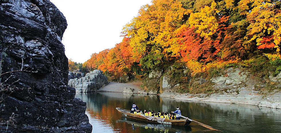Autumn scenery in Japan