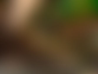 Exploring Japan’s Most Unforgettable Retail Experiences