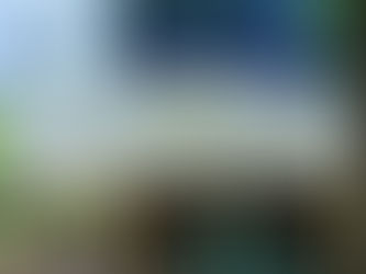 Fairlex Consulting secured a victory in Uzbek Supreme Court for a Chinese investor