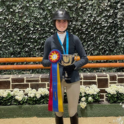 Lindel 2024 IEA