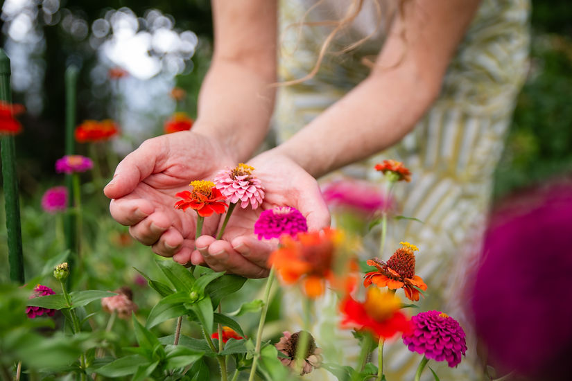 Jacqueline Bürki | Reiki, MBSR Kurse, Beratung, Coaching | Solothurn Schweiz