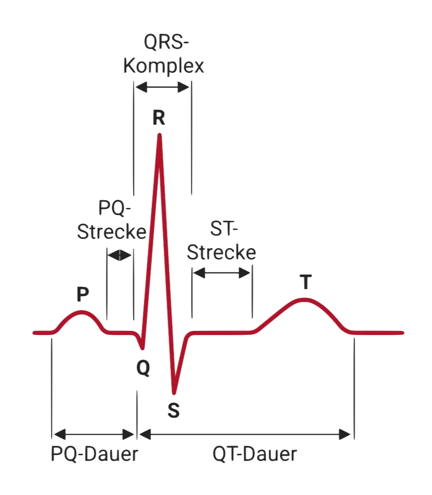 heartfacts | HRV-Analyse, Stresscheck, Healthtracker, Coaching, Stressresilienz, Burnout abklären, Hilfe bei Stress | Simone Tschopp, Biel, Schweiz