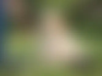 How to Train a Labradoodle Puppy in 30 Days