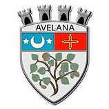 Logo ville de Lavelanet