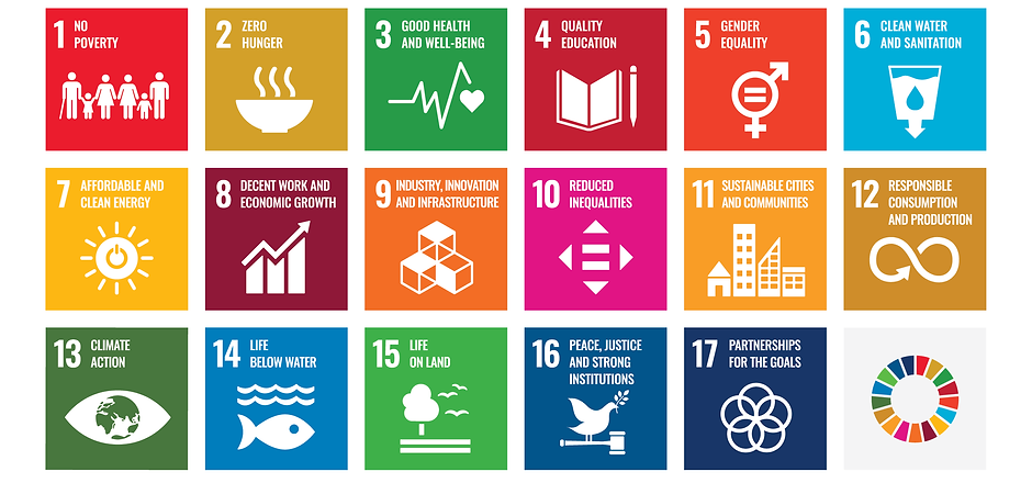 E SDG Poster 2019_without UN emblem_WEB_3.png