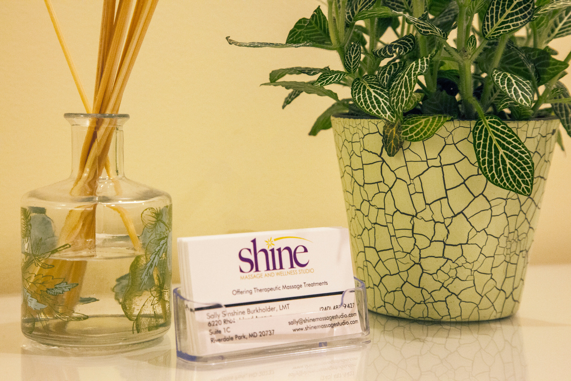 Massage Therapy College Park Shine Massage and Wellness Studio