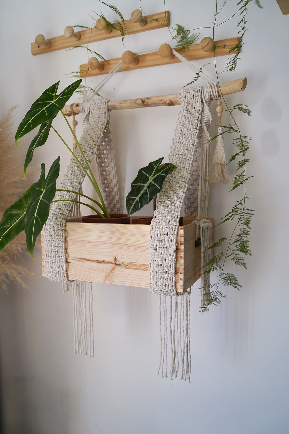 Miniature : Boho Box for plants